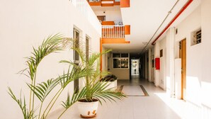 A corridor with potted plants, a tiled floor, and a view into a room with a window.