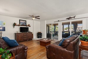 Smart TV, fireplace, DVD player, books