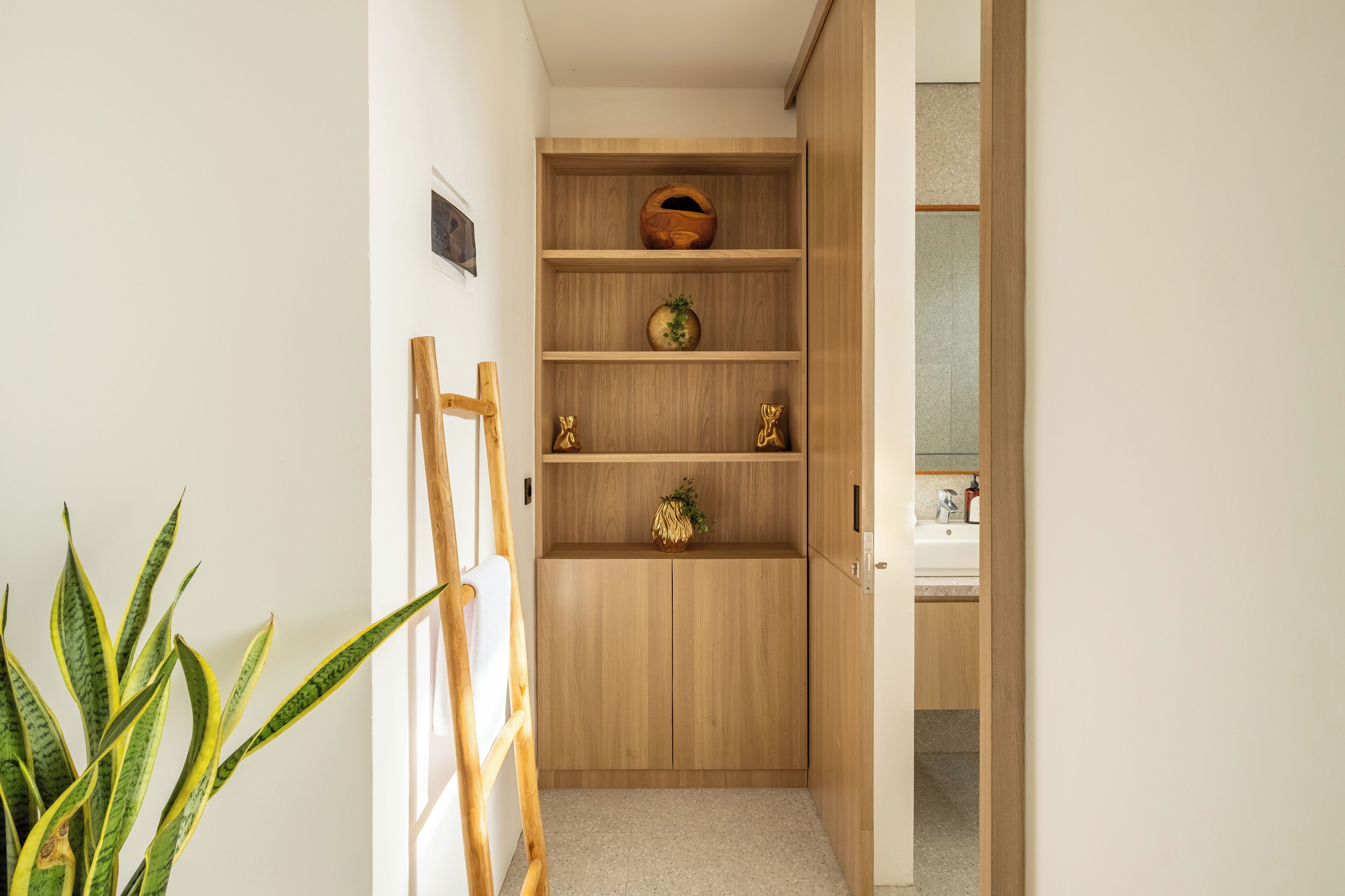 A wooden cabinet with shelves, a small plant, and a ladder.