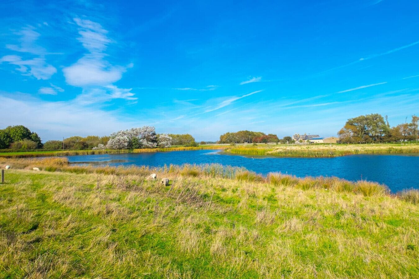 Eine friedliche Flusslandschaft mit blauem Himmel, grünen Ufern und Bäumen im Hintergrund.