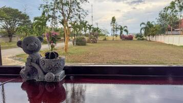 A view from a window with a teddy bear figurine on a table, a cactus in a decorative pot, and a grassy area with trees and a fence in the background.