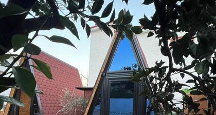 Guest House Adilaj Wood Houses