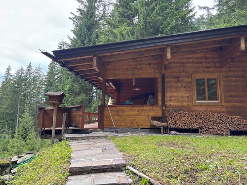 Cozy mountain hut on the Pillberg - pure nature & relaxation in the mountains