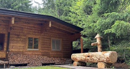 Cozy mountain hut on the Pillberg - pure nature & relaxation in the mountains