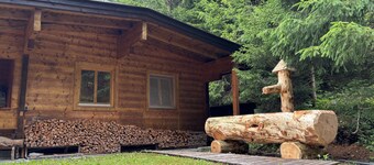 Cozy mountain hut on the Pillberg - pure nature & relaxation in the mountains