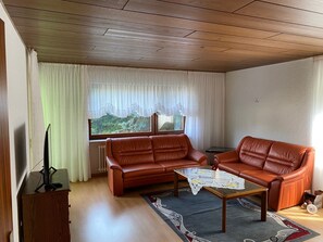 Televisión 
