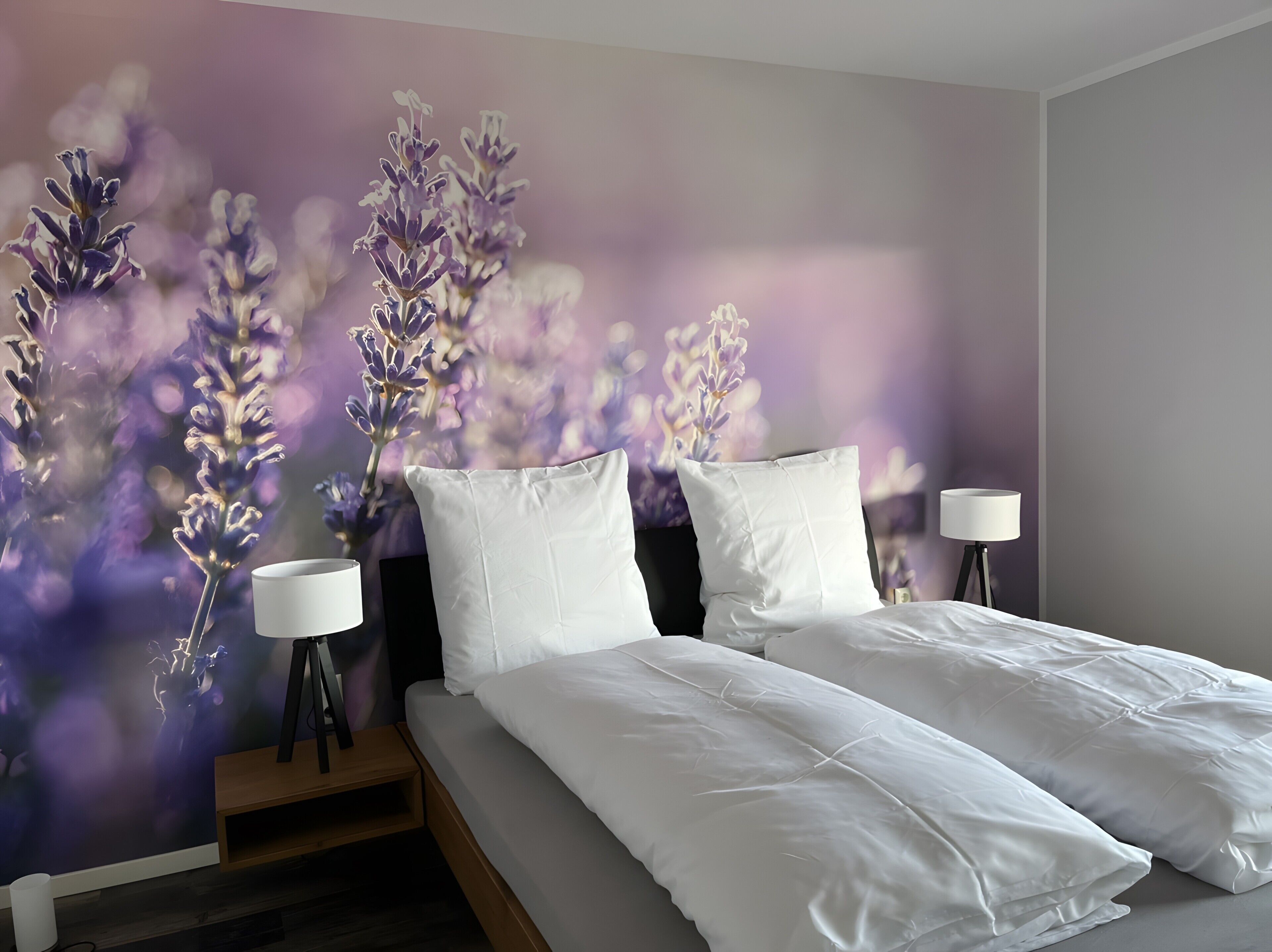 5 habitaciones, tabla de planchar con plancha y wifi gratis 