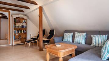 Fernseher, Kamin
