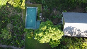 An aerial view of a property with a swimming pool, a large tree, and a house with a sloped roof.