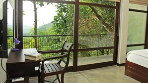 Habitación doble Deluxe | Vista del balcón