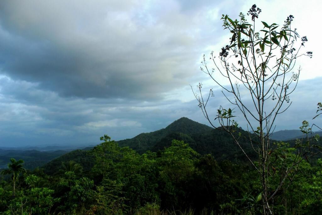 A mountainous landscape with dense green foliage and a cloudy sky.
