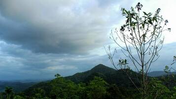 A mountainous landscape with dense green foliage and a cloudy sky.
