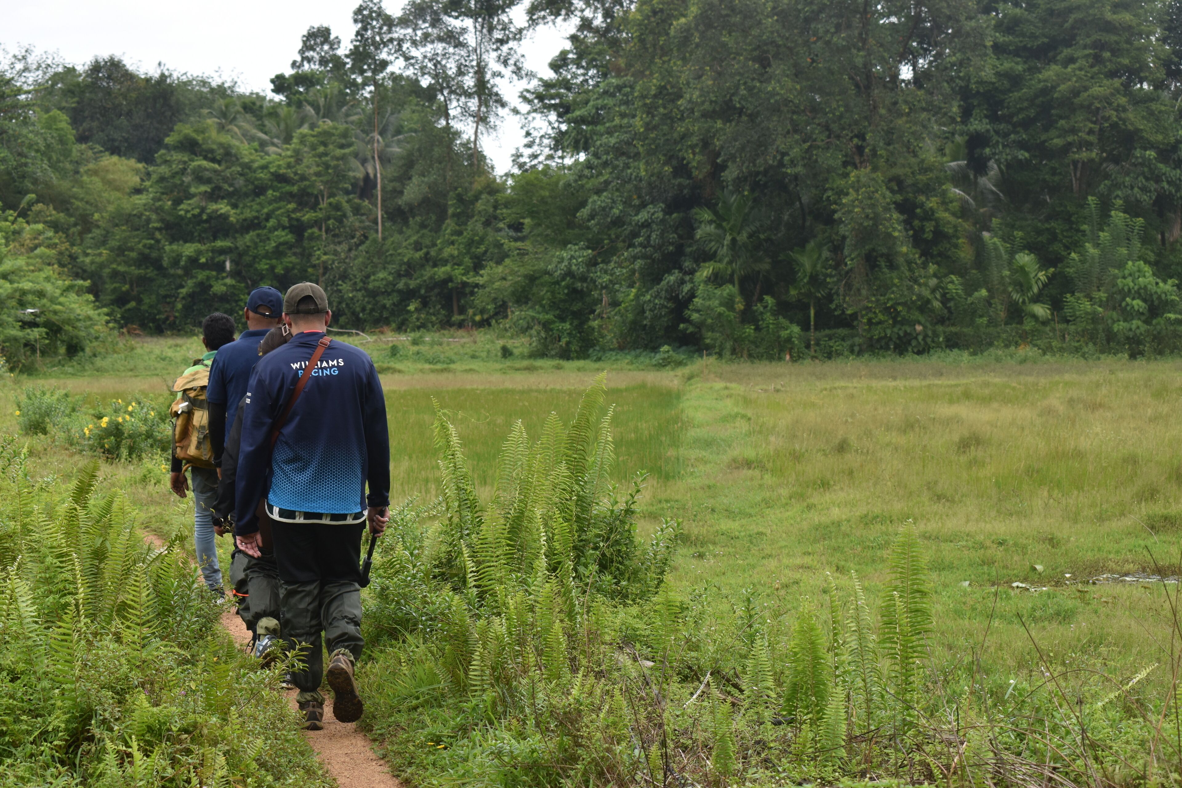A group of people walking on a dirt path through a grassy field with dense trees in the background.