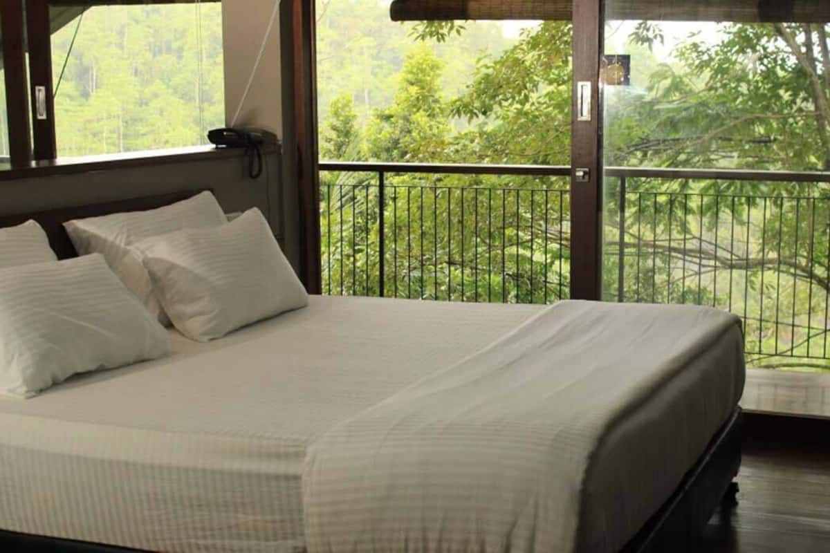 Elite Double Room | Living area | TV