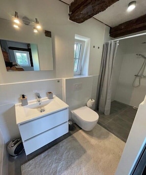 Shower, hair dryer