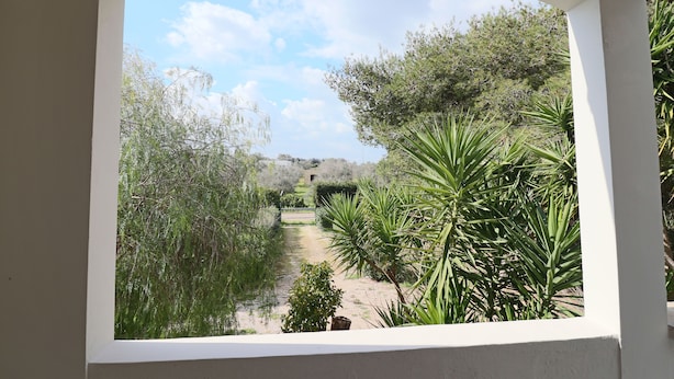 A view through a window of a garden with pathways, various plants, and a distant building. - Villa Camilla in Otranto (Provincia di Lecce)
