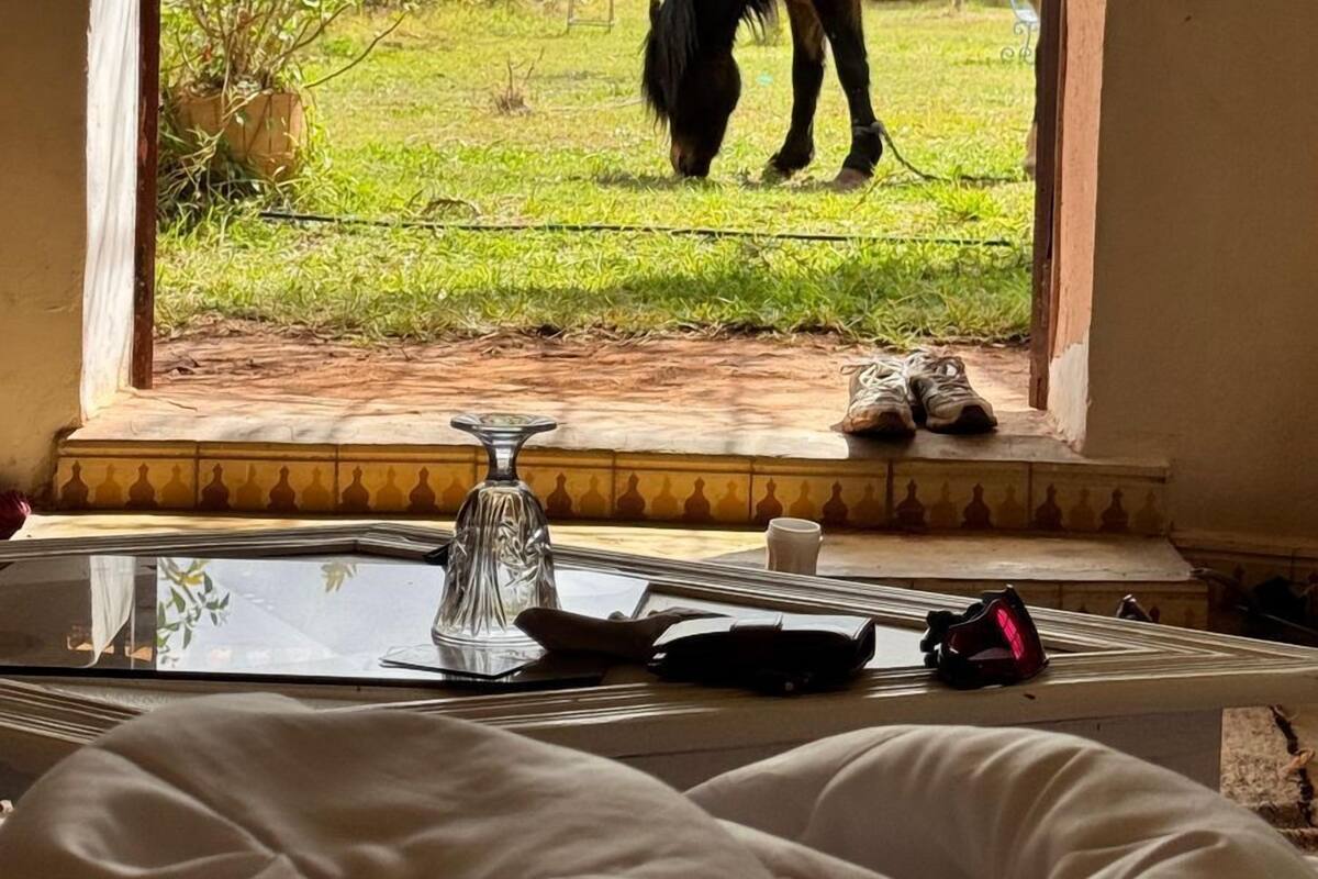 A room with a bed, a table with a glass vase, and a view of a horse grazing outside through a window.