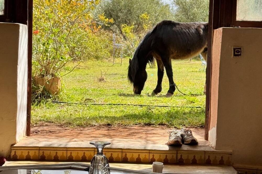 Atlas Farmhouse Marrakesh
