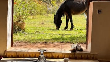 Superior-Doppelzimmer, Blick auf die Anlage | Bügeleisen/Bügelbrett