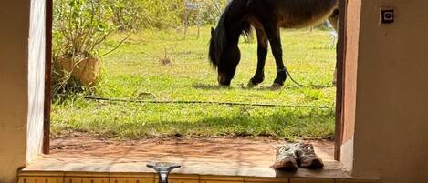 ห้องซูพีเรียดับเบิล, วิวรีสอร์ท | เตารีด/โต๊ะรีดผ้า