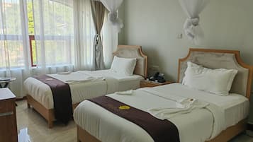 Deluxe Double or Twin Room, City View
