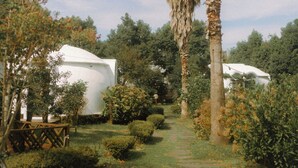 Ein Weg, der durch einen Garten mit Palmen und einem weißen Gebäude führt.