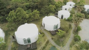 Eine Gruppe kuppelartiger Gebäude, umgeben von üppiger Vegetation.