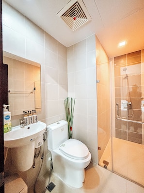 Shower, hair dryer, towels