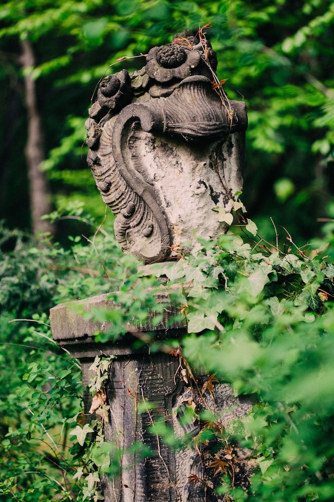 Hotel Villa Sorgenfrei by null