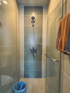 Shower, hair dryer, towels