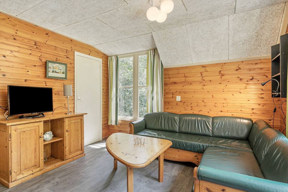 Una habitación acogedora de estilo cabaña con paredes de madera, un sofá de cuero, un televisor y una mesita.