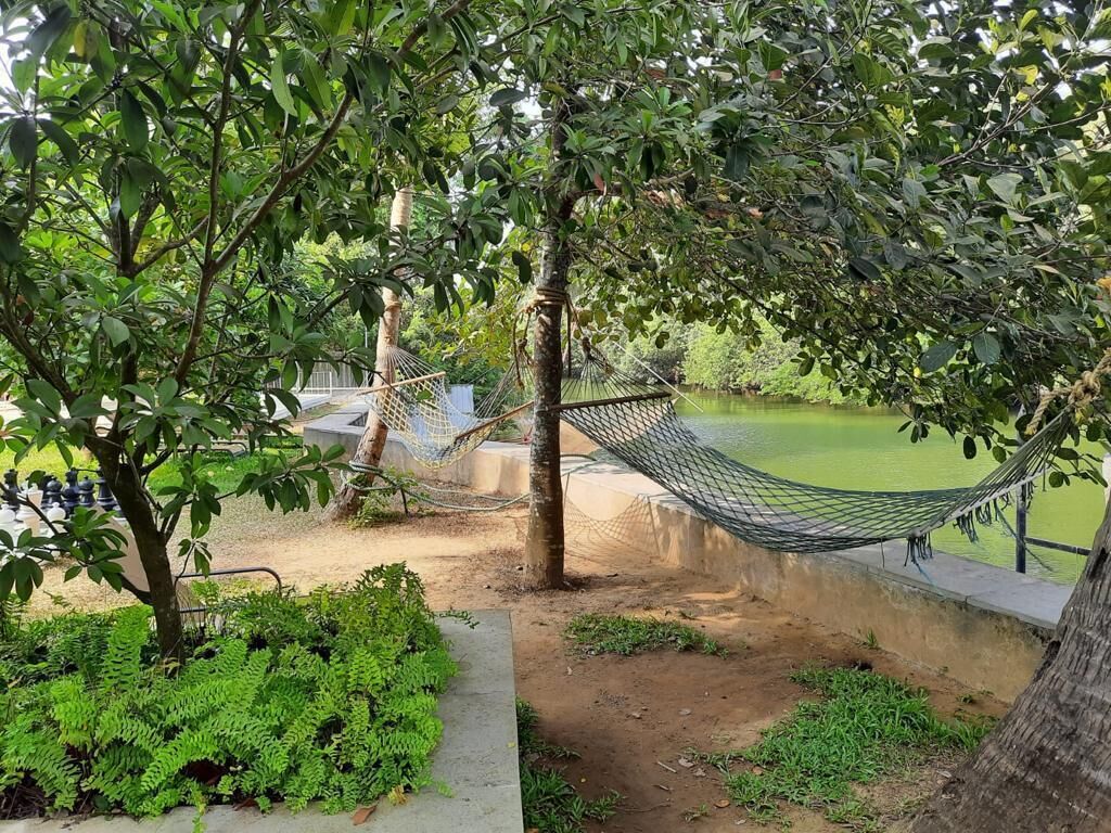 A hammock under a tree by a calm body of water, surrounded by lush greenery and a concrete path.