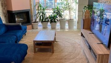 Télévision, cheminée, table de tennis de table, livres