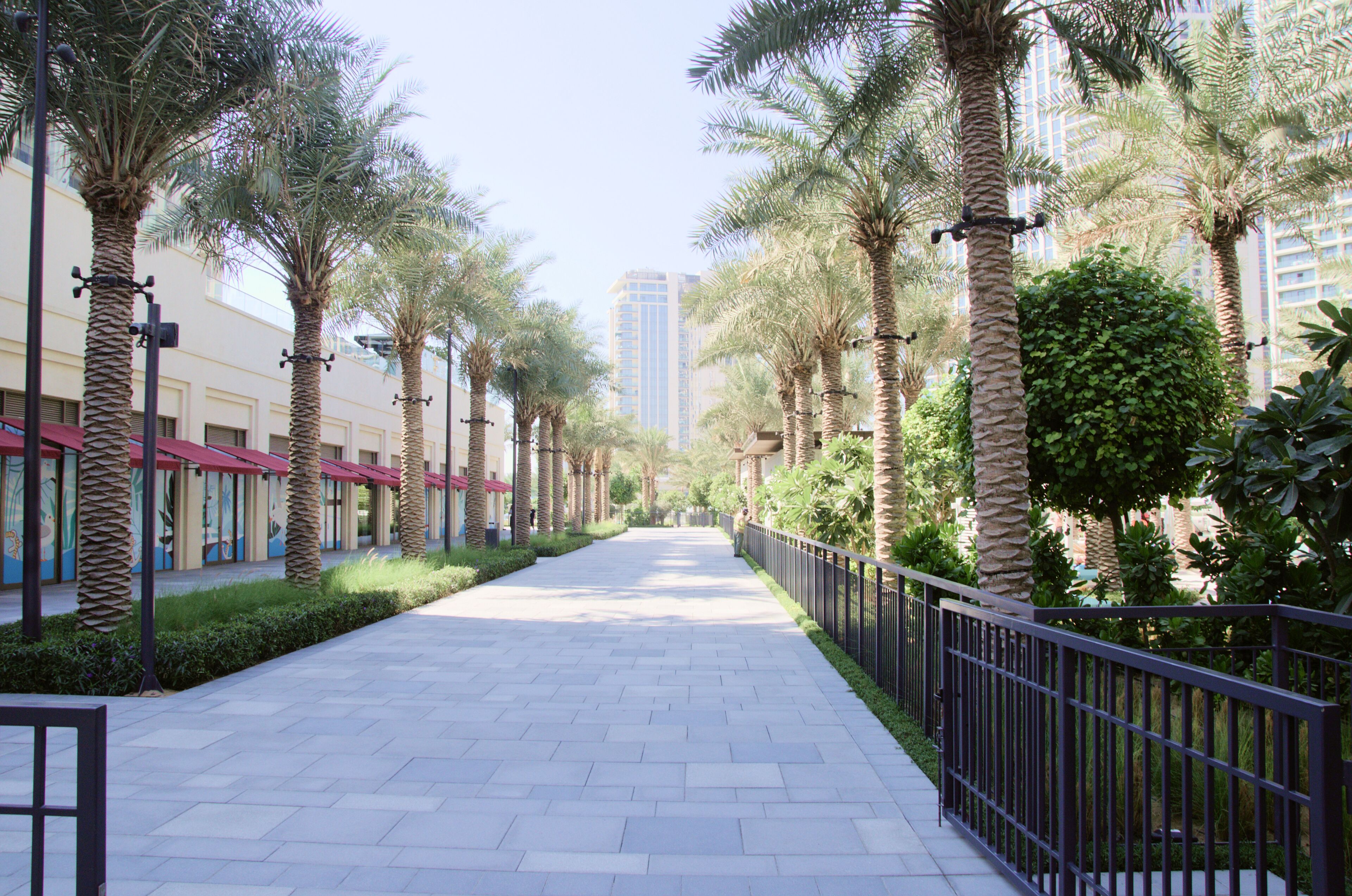 A paved walkway lined with palm trees and a metal fence, leading towards a building with a red roof.