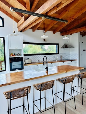 Fridge, oven, stovetop, electric kettle