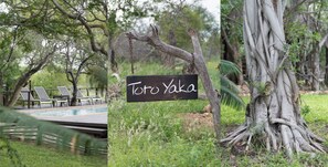 Deluxe Double or Twin Room, Garden View | Garden view - Toro Yaka Bush Lodge (Hoedspruit)