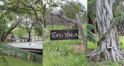 Toro Yaka Bush Lodge