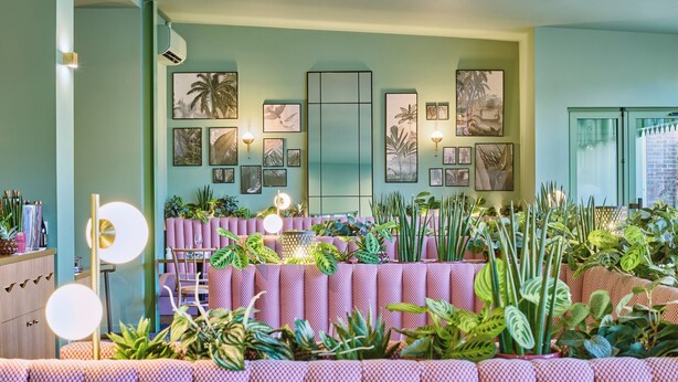 Een kamer met een groene muur, meerdere ingelijste foto's en diverse potplanten.