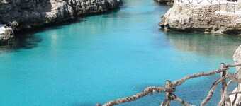 APARTMENT IN CALA'N FORCAT