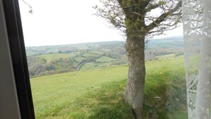 Vista per la finestra d'un paisatge rural amb turons ondulats i un arbre al primer pla.