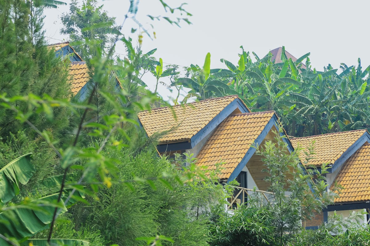 A row of traditional houses with tiled roofs, surrounded by dense tropical foliage.