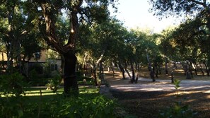 A serene outdoor area with trees and a pathway. - Agriturismo Le Sughere (Padru)