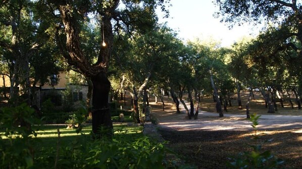 Escritorio, cortinas blackout y wifi gratis