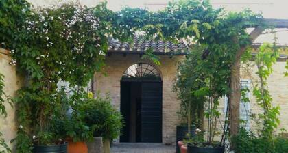 Garden, right in the center, 7 km from the sea