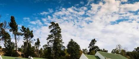 Vista frontal de la propiedad