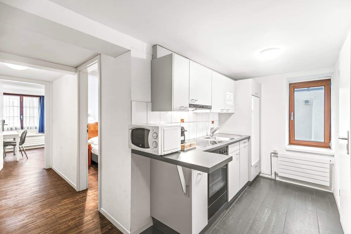 Classic Apartment | 1 bedroom, desk, soundproofing, iron/ironing board