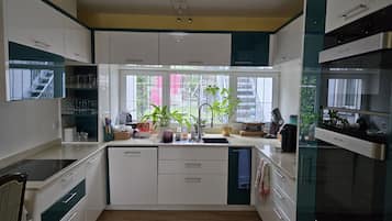 Kühlschrank, Ofen, Herdplatte, Geschirrspüler