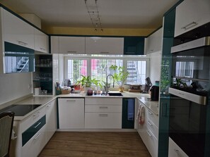 Kühlschrank, Ofen, Herdplatte, Geschirrspüler