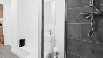 Shower, towels, toilet paper