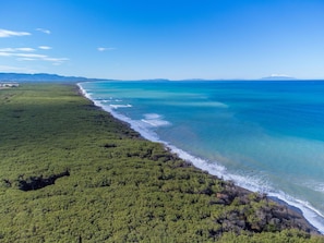 Un paisaje costero con abundante vegetación y una vista despejada del océano.